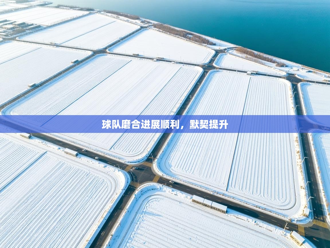 球队磨合进展顺利，默契提升  第2张